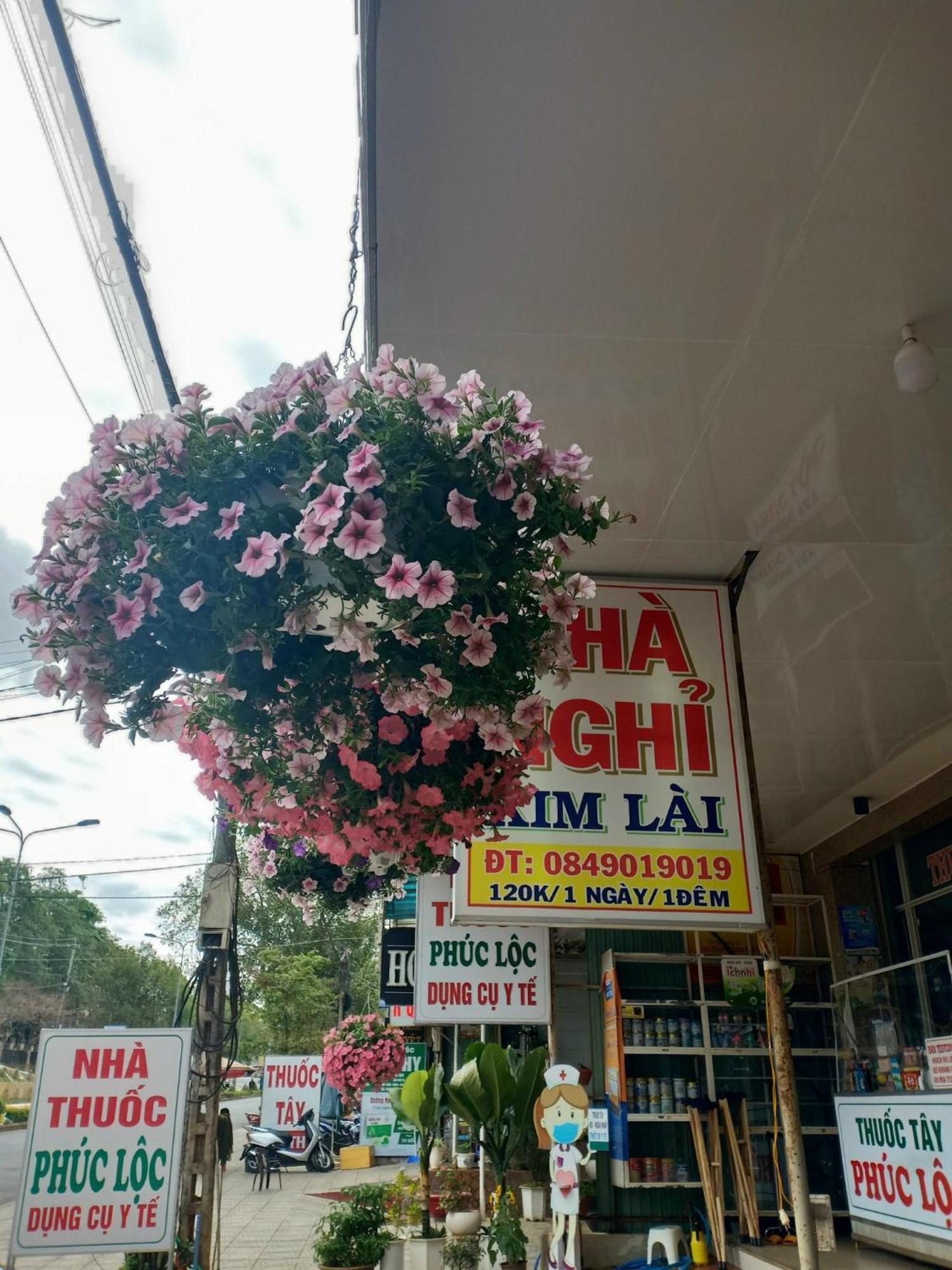 Nha Nghi Kim Lai - Doi Dien Benh Vien Tinh Gia Lai -132 Ton That Tung Pleiku Exteriör bild